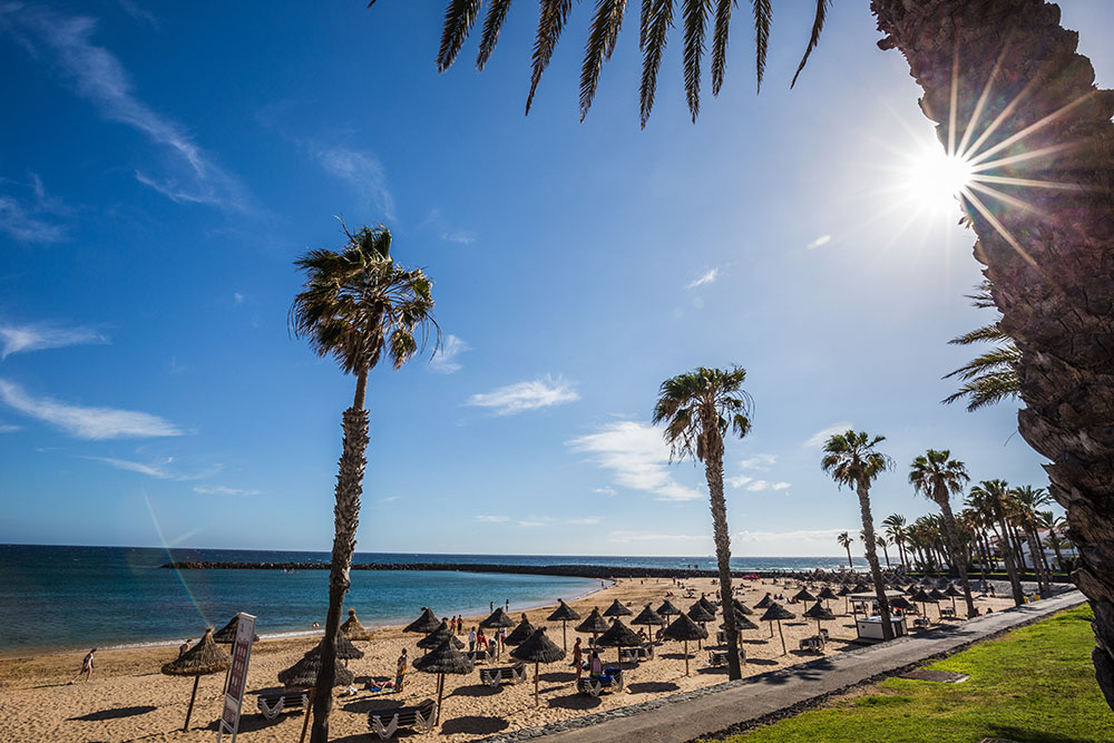 COMPLEJO TURISTICO PARQUE SANTIAGO III Camison Tenerife